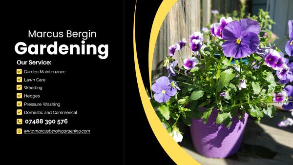 Marcus Bergin Gardening