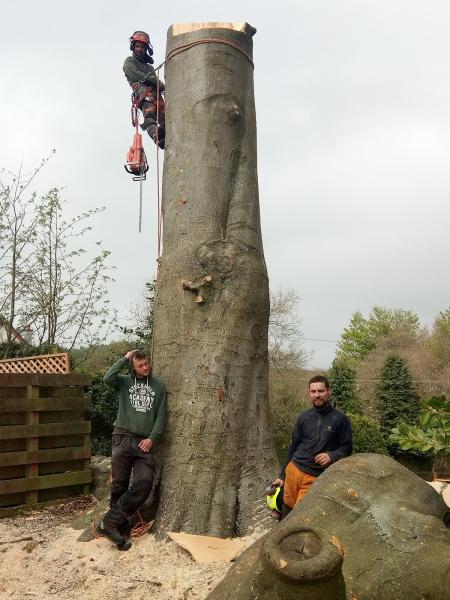 Heartwood Trees Scotland Ltd