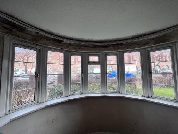 Damp and Mould Solutions
