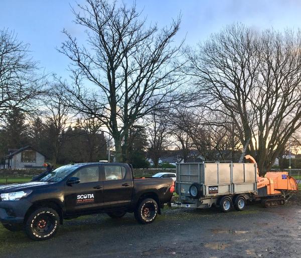 Scotia Tree Services Ltd