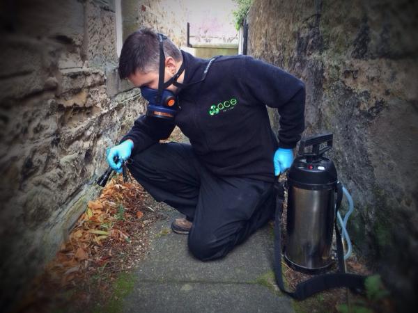 Active Control Environmental Services