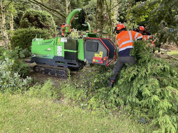 Abraham Tree Maintenance