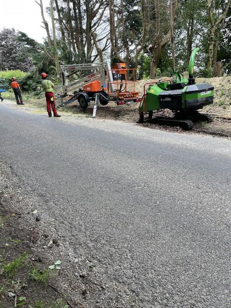 Abraham Tree Maintenance