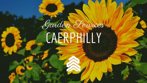 Bloomingdale Garden Services