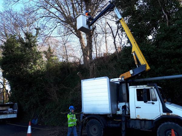 Peter Yeates Arboriculture & Tree Surgery in Winchester