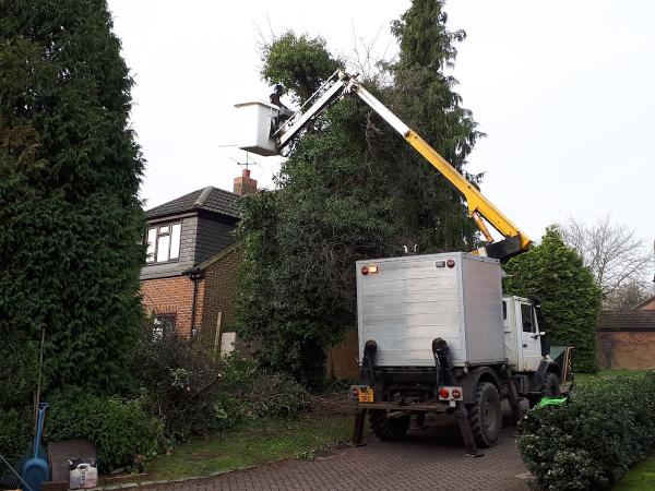 Peter Yeates Arboriculture