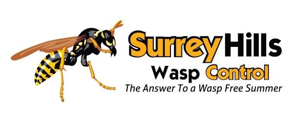 Surrey Hills Wasp Control