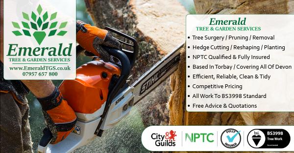 Emerald Tree & Garden Services