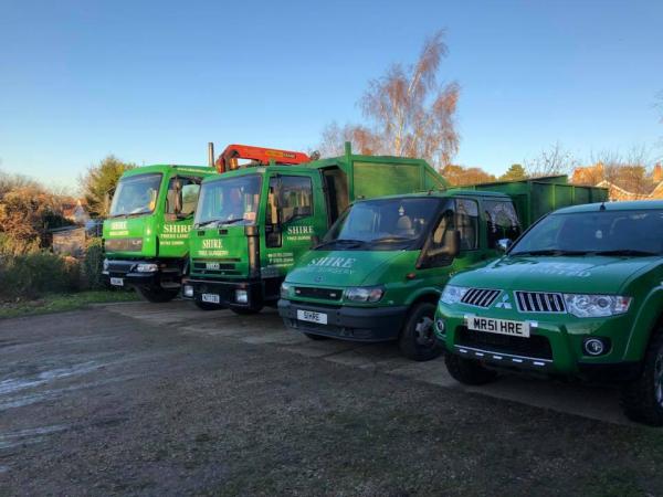 Shire Tree Surgery