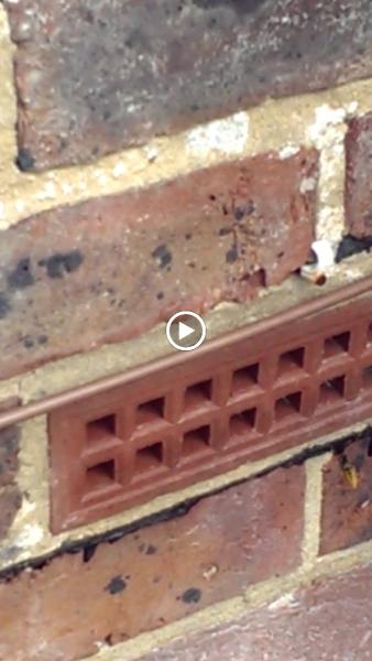 Alert Pest Control Services