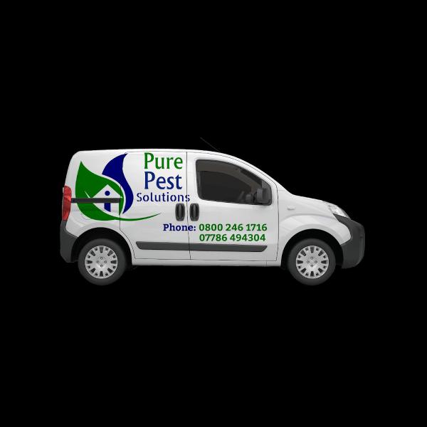 Pure Pest Solutions