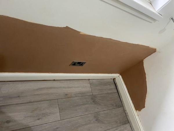 Protective Preservations Damp Proofing Specialists