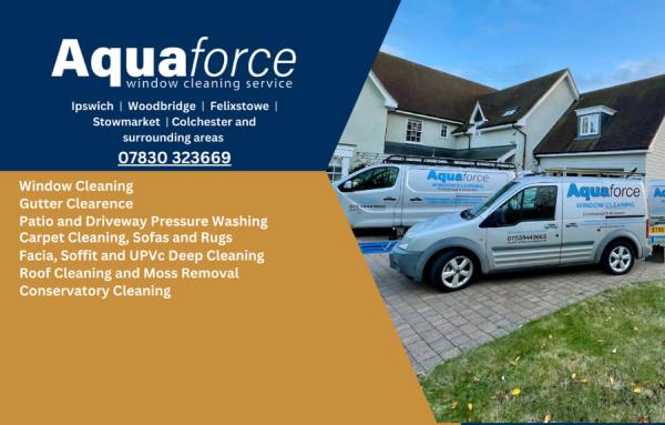 Aqua Force Window Cleaning