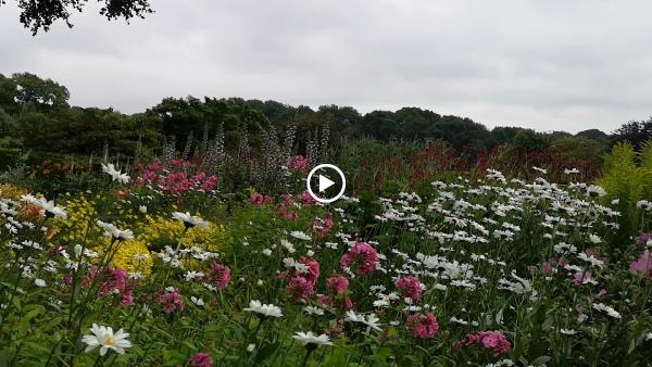 Bloomsford Gardening