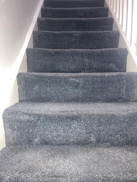 Forevershine Carpet Cleaning Services