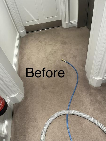 Forevershine Carpet Cleaning Services