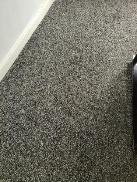 Forevershine Carpet Cleaning Services