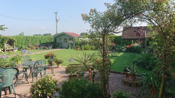 Ladybird Garden Care