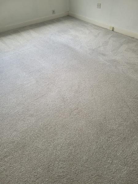 Ewe Clean Carpet and Upholstery Cleaning