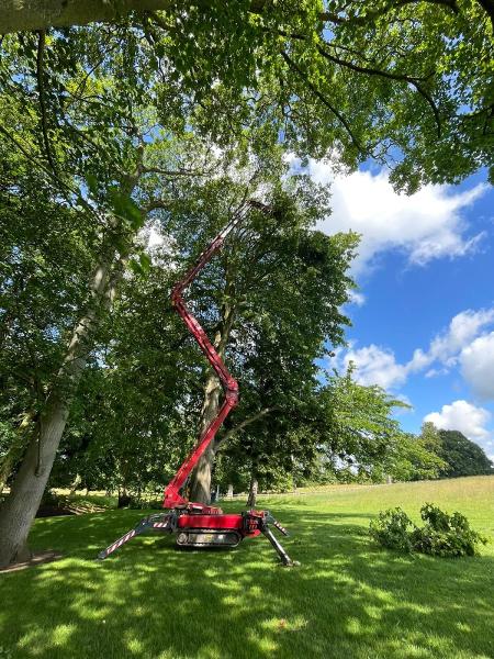 Simpson Arboriculture Ltd