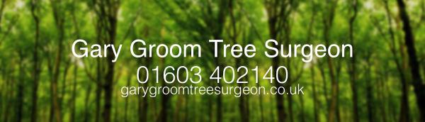 Gary Groom Tree Surgeon