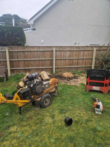 Stump Grinding Dorset