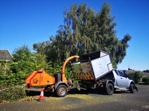 AJB Tree Contractors