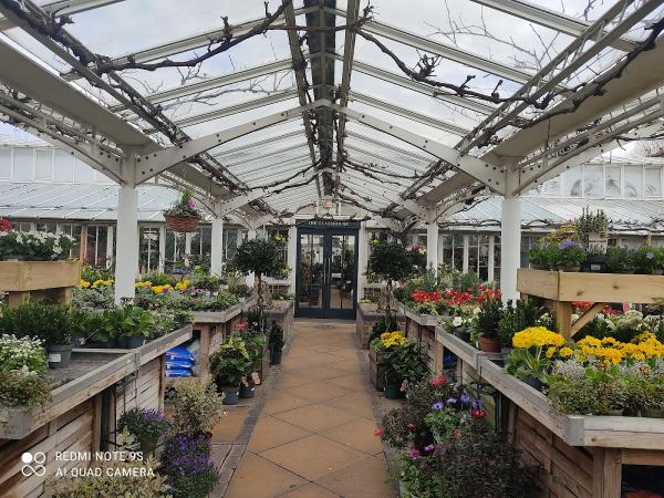 Clifton Nurseries