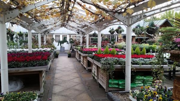 Clifton Nurseries