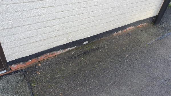 Advanced Damp Tring