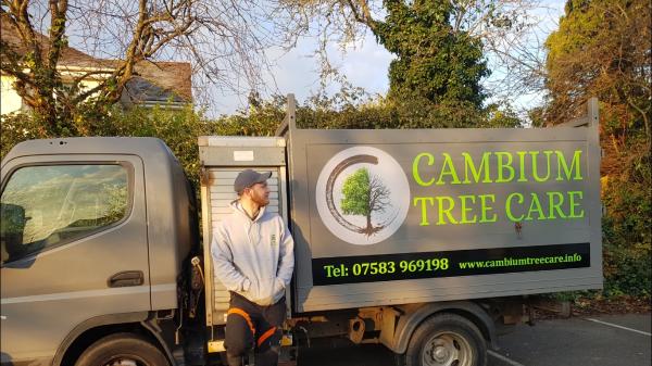 Cambium Tree Care Ltd