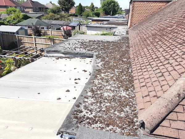 Flat Roofs Fascias and Gutters