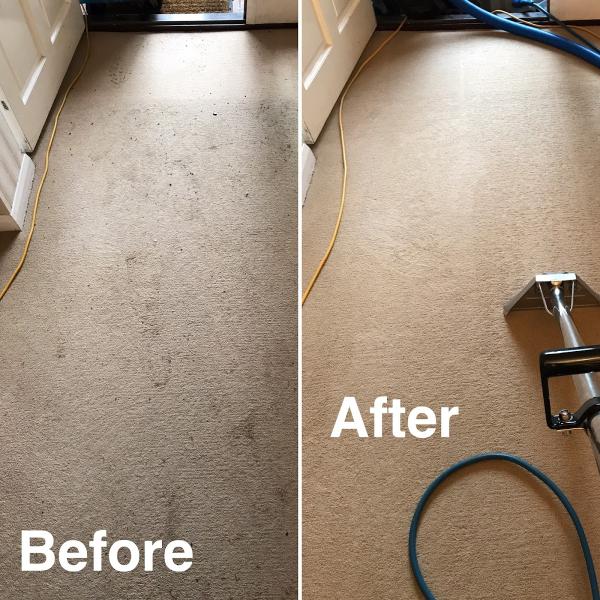 Primokleen Carpet Cleaning