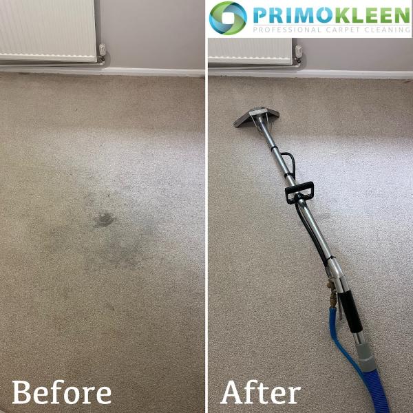 Primokleen Carpet Cleaning