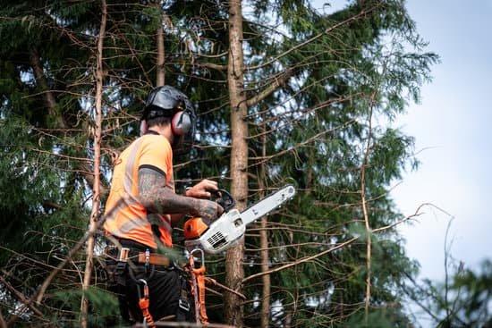 Nottingham Tree Surgery and Arborist Services