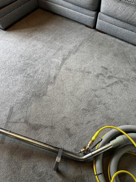 Pro Carpet