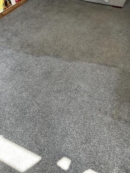 Pro Carpet