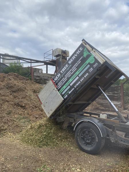 Top Branch Tree Care Ltd