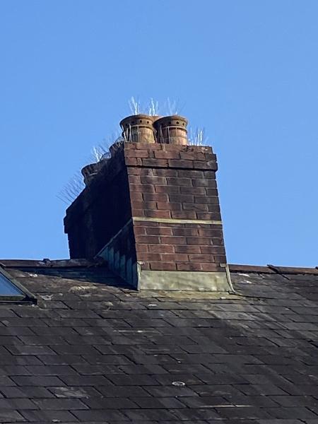 West Wales Pest Control Limited