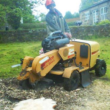 Wychwood Forestry Tree Surgeons