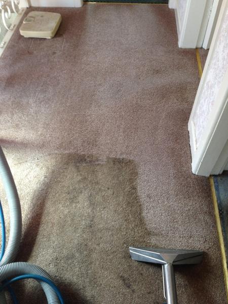 Timperley Carpet Care