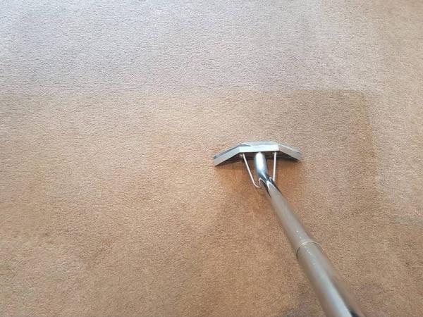 Libra Carpet Care