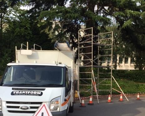 Transform Tree Surgery
