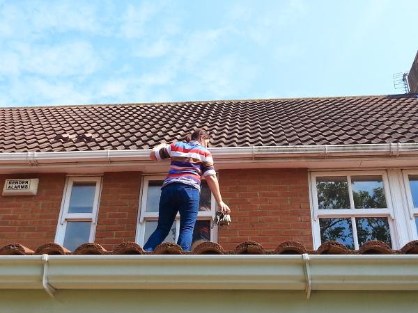 G & D Broome Window Cleaning