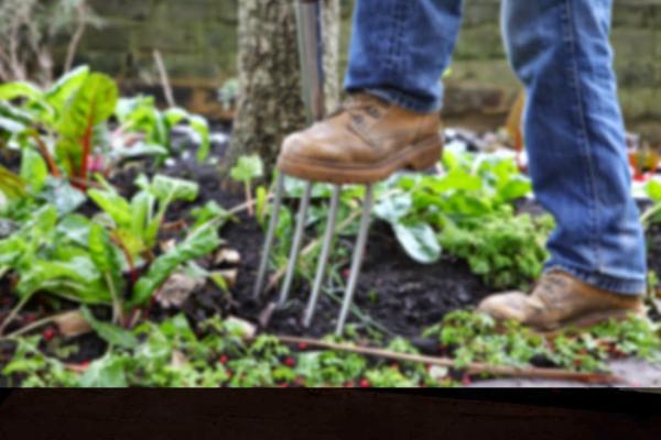 Jak's Gardening