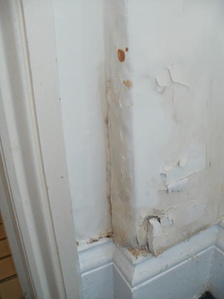 New Forest Property Care Ltd