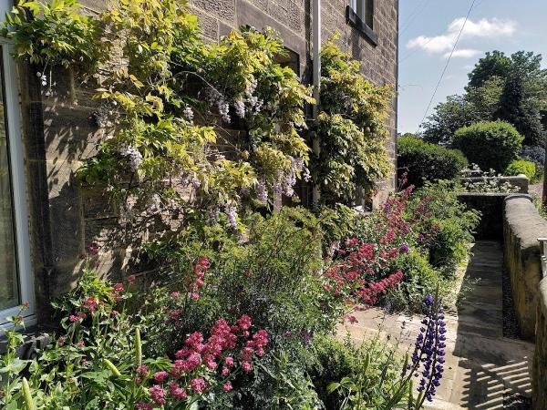 Elder & Fern Landscape Garden Design