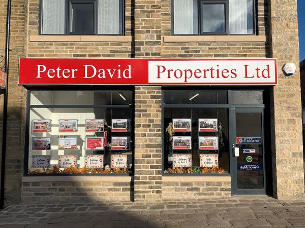 Peter David Properties