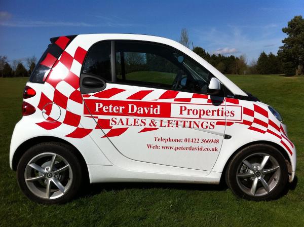 Peter David Properties