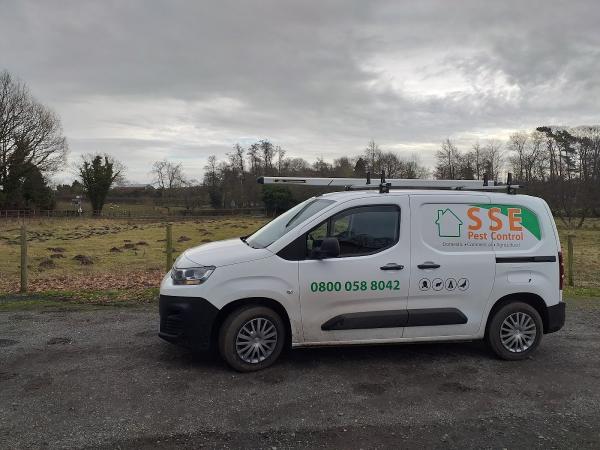 SSE Wasp Nest Removal Dudley